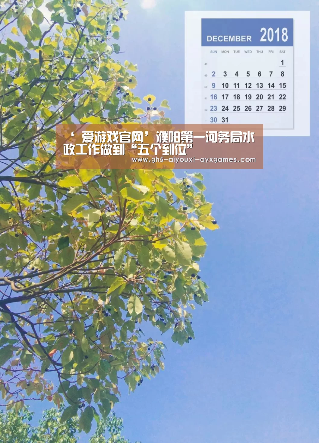 ‘ 爱游戏官网’濮阳第一河务局水政工作做到“五个到位”(图1) 爱游戏官网